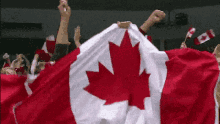 canada canadian flag canadian canada day happy canada day