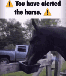 Horse Alert Icon GIF - Horse Alert Icon Warning GIFs