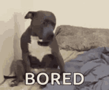 My Life Bored GIF - My Life Bored Tired GIFs