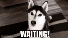 Waiting Still Waiting GIF - Waiting Still Waiting Waiting For You GIFs