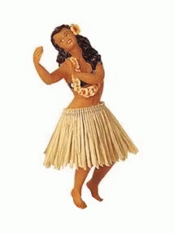 Hawaiian Hula Dance GIF.