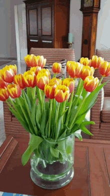 Tulip Tulp GIF - Tulip Tulp Holland GIFs