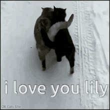 Lily I Love Lily GIF - Lily I Love Lily I Love You Lily GIFs