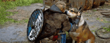 Assassins Creed Valhalla Petting A Dog GIF - Assassins Creed Valhalla Petting A Dog Dog GIFs