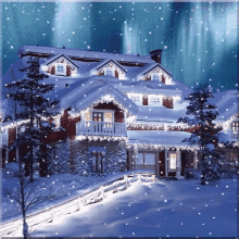 white house snow snowflakes