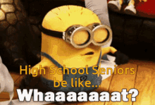 High School Seniors Be Like What GIF - High School Seniors Be Like What Huh GIFs