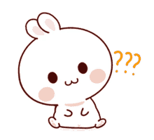 bunny confused