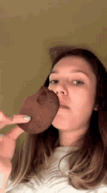 biscuit eating tasty biscuit eating tasty