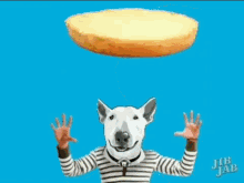 Skyler Food And Beer Bull Terrier GIF - Skyler Food And Beer Bull Terrier Love GIFs