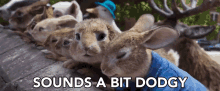 Sounds A Bit Dodgy Peter Rabbit GIF - Sounds A Bit Dodgy Peter Rabbit Benjamin Bunny GIFs
