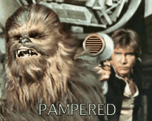 Chewbacca Pampered GIF - Pampered Spoiled Hair GIFs