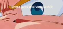 Ignore Goku And Vegeta Ssjb GIF - Ignore Goku And Vegeta Ssjb GIFs