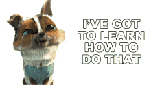 ive got to learn how to do that perro puss in boots the last wish i want to know how to do that i want my knowledge to grow ive got to learn how to do that perro puss in boots the last wish i want to know how to do that i want my knowledge to grow
