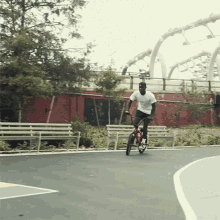 bmx tricks nigel sylvester spin around bicycle spin doing a spin