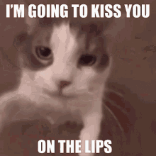 Im Going To Kiss You On The Lips GIF - Im Going To Kiss You On The Lips Kiss GIFs