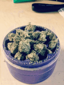 Weed Grass GIF - Weed Grass Process GIFs