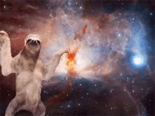 Sloth Space GIF - Sloth Space GIFs
