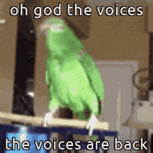 Animals With Captions Oh God The Voices GIF - Animals With Captions Oh God The Voices The Voices Are Back GIFs
