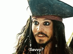 Pirates of the Caribbean Captain Jack Sparrow Johnny Depp Minecraft Skin