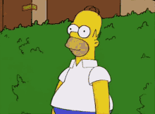 Homer Simpson Bushes GIF - Homer Simpson Bushes Molotov Cocktail GIFs