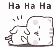 kawaii kitty laughing hahaha