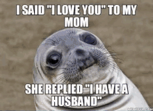 Seal Meme GIF - Seal Meme GIFs
