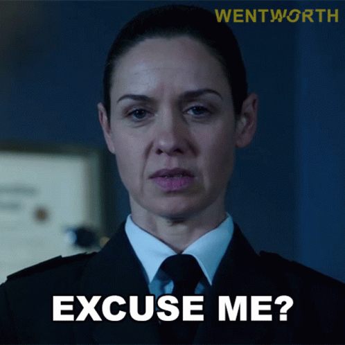 please excuse vera dietz please excuse vera dietz