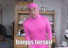 Bingus Fursuit GIF - Bingus Fursuit Cosplay GIFs