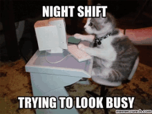 Night Shift Night Team GIF - Night Shift Night Team Cat GIFs