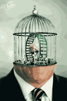 Bird Cage Back To Work GIF - Bird Cage Back To Work Thinking GIFs