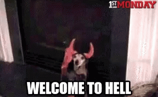 Welcome To Hell Dog Gif Welcome To Hell Dog Discover Share Gifs