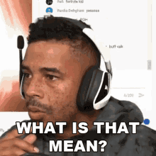 What Is That Mean Raynday Gaming GIF - What Is That Mean Raynday Gaming Evdog805 GIFs