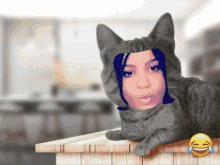 bella spice gang ganggang funny cat bella spice gang ganggang funny cat