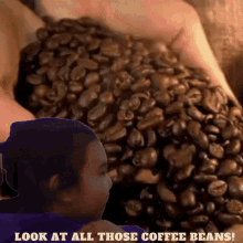 Look At All Those Coffee Beans Sebrteller GIF - Look At All Those Coffee Beans Sebrteller Seb GIFs