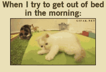 Trying To Get Out Of Bed Gifs Tenor