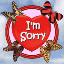 im sorry really sorry sorry heart 3d gifs artist butterflies