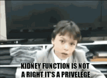 Vernon Kidney GIF - Vernon Kidney Kidney Function GIFs