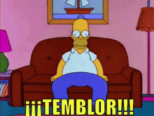 Homer Simpson Temblor GIF - Homer Simpson Temblor Homero GIFs