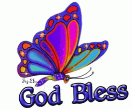 God Bless Butterfly GIF - God Bless Butterfly Colorful GIFs