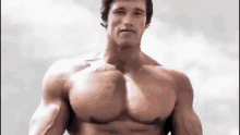 Little Dark Age Bodybuilding GIF - Little Dark Age Bodybuilding Arnold Schwarzenegger GIFs