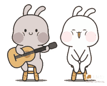 bunny couple cute love playing guitar