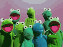Muppets Frog GIF - Muppets Frog Singing GIFs