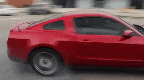 Ford Mustang Instant Karma GIF - Ford Mustang Mustang Ford GIFs