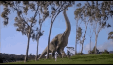 Brachiosaurus Jurassic Park GIF - Brachiosaurus Jurassic Park Original Brachiosaurus GIFs
