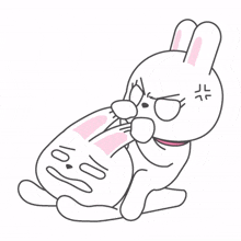white rabbit couple viloence fighting white rabbit couple viloence fighting