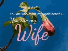 Wife Mothers Day GIF - Wife Mothers Day Happy Mothers Day GIFs