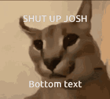 josh green shut up shut up