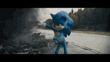 Sonic Floss Hedgehog GIF - Sonic Floss Floss Sonic GIFs