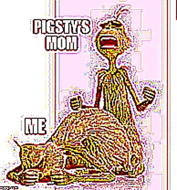 Pigsty Mom Me GIF - Pigsty Mom Me Scream GIFs