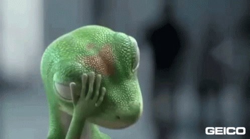 geko-geico.gif